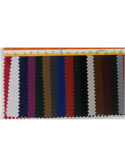 FS-CGFA 0095# 正面照